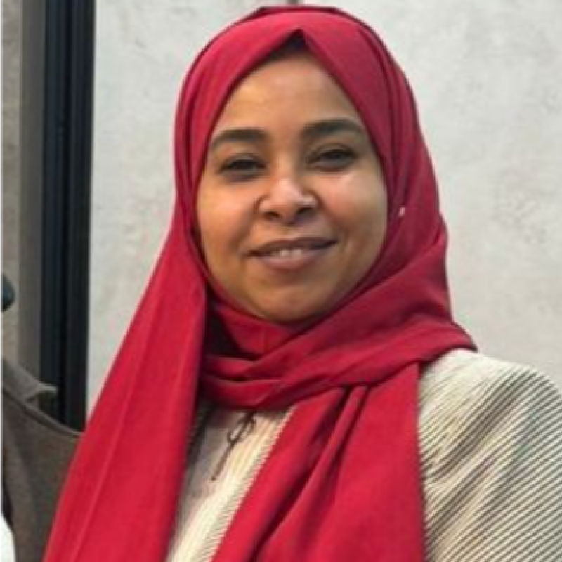 شيرين حامد